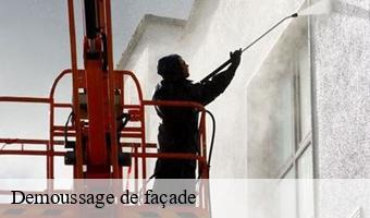 Demoussage de façade  cande-sur-beuvron-41120 Entreprise CRESSON Peinture et Nettoyage