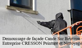 Demoussage de façade  cande-sur-beuvron-41120 Entreprise CRESSON Peinture et Nettoyage