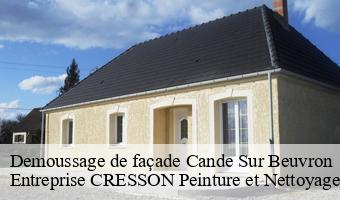 Demoussage de façade  cande-sur-beuvron-41120 Entreprise CRESSON Peinture et Nettoyage