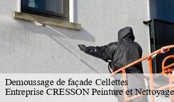 Demoussage de façade  cellettes-41120 Entreprise CRESSON Peinture et Nettoyage