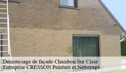 Demoussage de façade  chambon-sur-cisse-41190 Entreprise CRESSON Peinture et Nettoyage