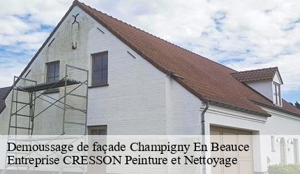 Demoussage de façade  champigny-en-beauce-41330 Entreprise CRESSON Peinture et Nettoyage