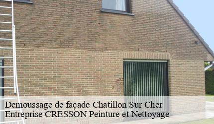 Demoussage de façade  chatillon-sur-cher-41130 Entreprise CRESSON Peinture et Nettoyage