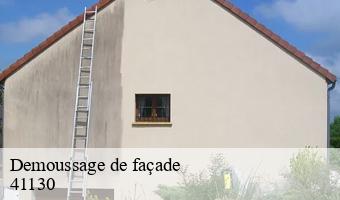 Demoussage de façade  chatillon-sur-cher-41130 Entreprise CRESSON Peinture et Nettoyage