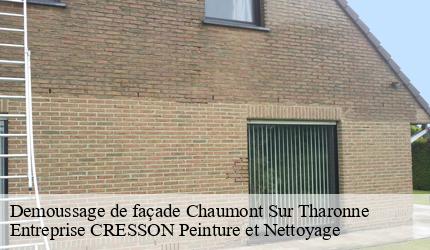 Demoussage de façade  chaumont-sur-tharonne-41600 Entreprise CRESSON Peinture et Nettoyage