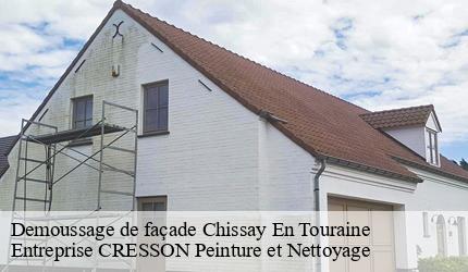 Demoussage de façade  chissay-en-touraine-41400 Entreprise CRESSON Peinture et Nettoyage