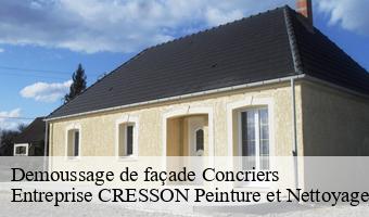 Demoussage de façade  concriers-41370 Entreprise CRESSON Peinture et Nettoyage