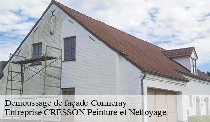 Demoussage de façade  cormeray-41120 Entreprise CRESSON Peinture et Nettoyage