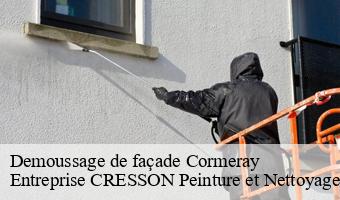 Demoussage de façade  cormeray-41120 Entreprise CRESSON Peinture et Nettoyage