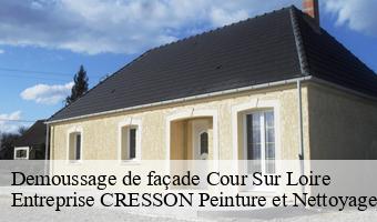 Demoussage de façade  cour-sur-loire-41500 Entreprise CRESSON Peinture et Nettoyage