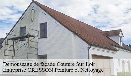 Demoussage de façade  couture-sur-loir-41800 Entreprise CRESSON Peinture et Nettoyage