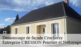 Demoussage de façade  crucheray-41100 Entreprise CRESSON Peinture et Nettoyage