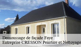 Demoussage de façade  faye-41100 Entreprise CRESSON Peinture et Nettoyage