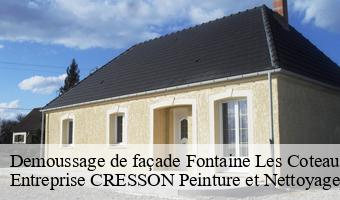 Demoussage de façade  fontaine-les-coteaux-41800 Entreprise CRESSON Peinture et Nettoyage