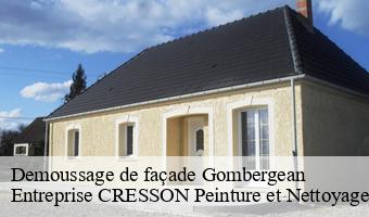 Demoussage de façade  gombergean-41310 Entreprise CRESSON Peinture et Nettoyage