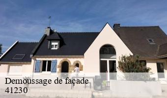 Demoussage de façade  gy-en-sologne-41230 Entreprise CRESSON Peinture et Nettoyage