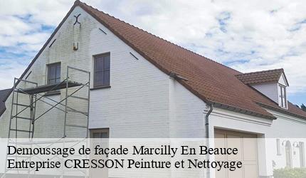 Demoussage de façade  marcilly-en-beauce-41100 Entreprise CRESSON Peinture et Nettoyage