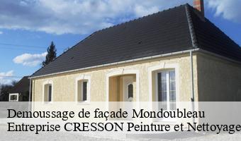 Demoussage de façade  mondoubleau-41170 Entreprise CRESSON Peinture et Nettoyage