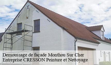 Demoussage de façade  monthou-sur-cher-41400 Entreprise CRESSON Peinture et Nettoyage