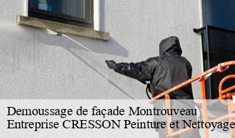 Demoussage de façade  montrouveau-41800 Entreprise CRESSON Peinture et Nettoyage