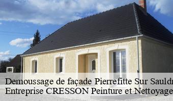 Demoussage de façade  pierrefitte-sur-sauldre-41300 Entreprise CRESSON Peinture et Nettoyage