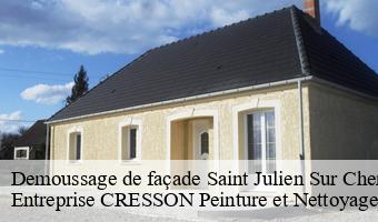 Demoussage de façade  saint-julien-sur-cher-41320 Entreprise CRESSON Peinture et Nettoyage