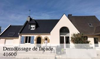 Demoussage de façade  souvigny-en-sologne-41600 Entreprise CRESSON Peinture et Nettoyage