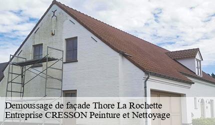 Demoussage de façade  thore-la-rochette-41100 Entreprise CRESSON Peinture et Nettoyage