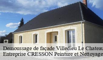 Demoussage de façade  villedieu-le-chateau-41800 Entreprise CRESSON Peinture et Nettoyage