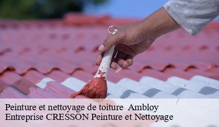 Peinture et nettoyage de toiture   ambloy-41310 Entreprise CRESSON Peinture et Nettoyage