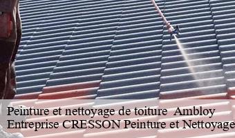 Peinture et nettoyage de toiture   ambloy-41310 Entreprise CRESSON Peinture et Nettoyage