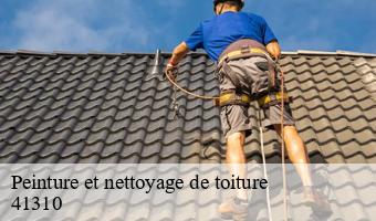 Peinture et nettoyage de toiture   ambloy-41310 Entreprise CRESSON Peinture et Nettoyage