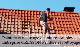 Peinture et nettoyage de toiture   ambloy-41310 Entreprise CRESSON Peinture et Nettoyage