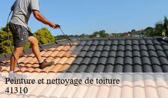 Peinture et nettoyage de toiture   ambloy-41310 Entreprise CRESSON Peinture et Nettoyage