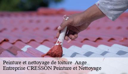 Peinture et nettoyage de toiture   ange-41400 Entreprise CRESSON Peinture et Nettoyage