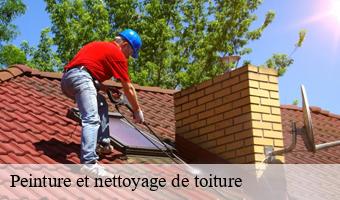 Peinture et nettoyage de toiture   ange-41400 Entreprise CRESSON Peinture et Nettoyage