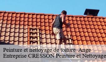 Peinture et nettoyage de toiture   ange-41400 Entreprise CRESSON Peinture et Nettoyage