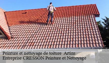 Peinture et nettoyage de toiture   artins-41800 Entreprise CRESSON Peinture et Nettoyage