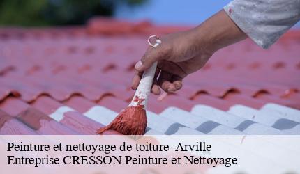 Peinture et nettoyage de toiture   arville-41170 Entreprise CRESSON Peinture et Nettoyage