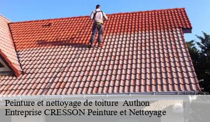 Peinture et nettoyage de toiture   authon-41310 Entreprise CRESSON Peinture et Nettoyage