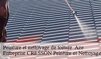 Peinture et nettoyage de toiture   aze-41100 Entreprise CRESSON Peinture et Nettoyage