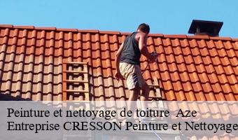 Peinture et nettoyage de toiture   aze-41100 Entreprise CRESSON Peinture et Nettoyage