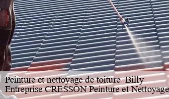 Peinture et nettoyage de toiture   billy-41130 Entreprise CRESSON Peinture et Nettoyage