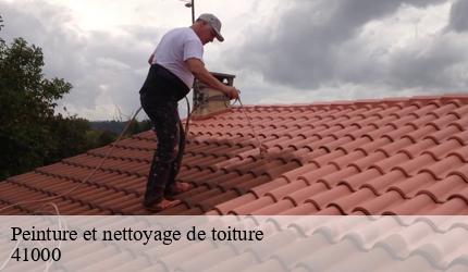 Peinture et nettoyage de toiture   blois-41000 Entreprise CRESSON Peinture et Nettoyage