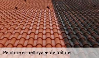 Peinture et nettoyage de toiture   blois-41000 Entreprise CRESSON Peinture et Nettoyage