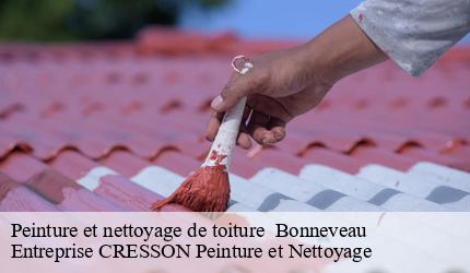 Peinture et nettoyage de toiture   bonneveau-41800 Entreprise CRESSON Peinture et Nettoyage