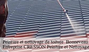 Peinture et nettoyage de toiture   bonneveau-41800 Entreprise CRESSON Peinture et Nettoyage