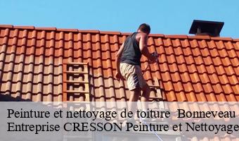 Peinture et nettoyage de toiture   bonneveau-41800 Entreprise CRESSON Peinture et Nettoyage