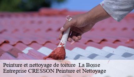 Peinture et nettoyage de toiture   la-bosse-41290 Entreprise CRESSON Peinture et Nettoyage