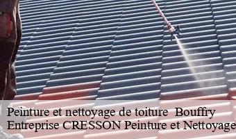 Peinture et nettoyage de toiture   bouffry-41270 Entreprise CRESSON Peinture et Nettoyage